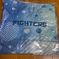 ファイターズ 推しペアクッションの画像