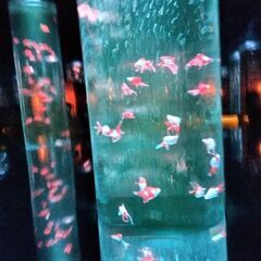 掲示板みて頂きありがとうございます。
