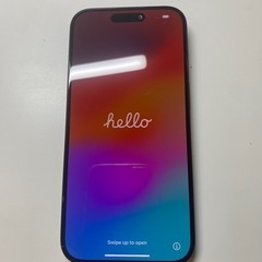 iPhone 15 Pro 1TB ブルーチタニウム 液晶不良あり ジャンク扱い iPhone 15 Pro 1TB ブルーチタニウム 液晶不良あり ジャンク扱い