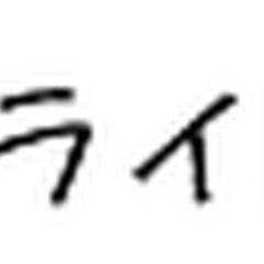 【未経験者歓迎】【賞与年3回】研修中も安定収入！無資格からはじめる自動車整備スタッフ 鹿児島県鹿児島市(南鹿児島)整備士の画像