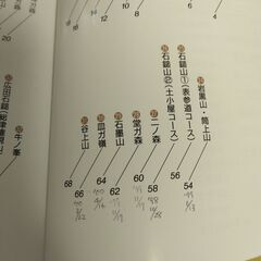 『愛媛県の山　分県登山ガイド37』山と渓谷社の画像