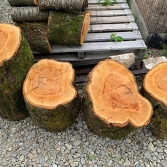 丸太　スウェーデントーチ
