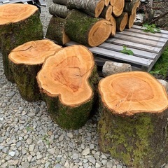 丸太　スウェーデントーチの画像