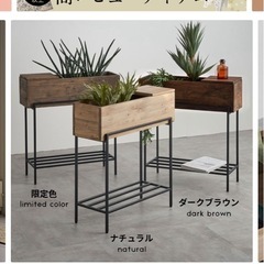 【譲渡済】土曜日まで0円で。プランタースタンド(植物ラック／棚)中古品の画像
