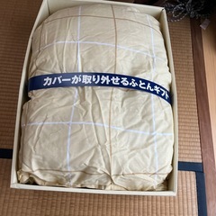 新品カバー付き肌掛け布団