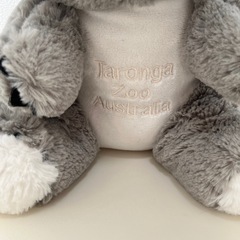コアラ ぬいぐるみtaronga zooの画像