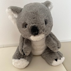 コアラ ぬいぐるみtaronga zoo