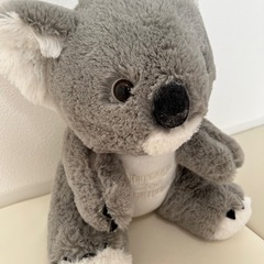 コアラ ぬいぐるみtaronga zooの画像