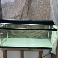水槽セット