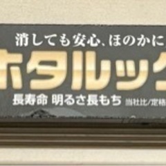 蛍光灯