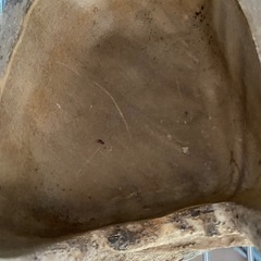 爬虫類　シェルター　2個の画像