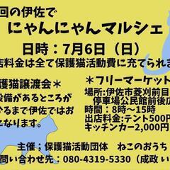 伊佐でにゃんにゃんマルシェ
