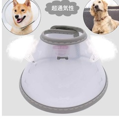 犬　エリザベスの画像