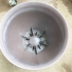 【中古】ダイソー　エコ鉢　7号の画像
