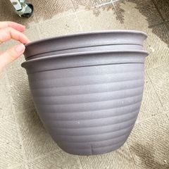 【中古】ダイソー　エコ鉢　7号の画像