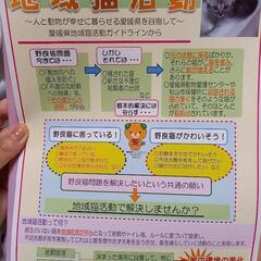 野良猫や地域猫にお困りの方いますか？😭