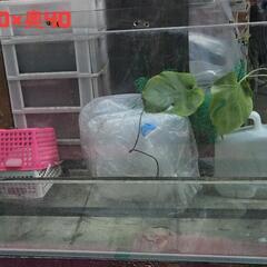 水槽セット(90cm水槽×2 水槽台×1)の画像