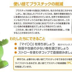 【堺市民限定】(2506-07) ブレイブボードの画像