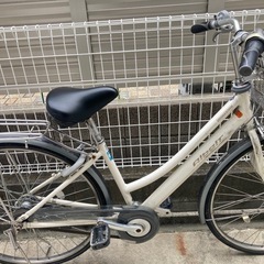アルベルト　自転車