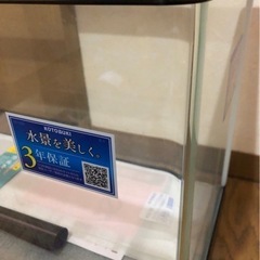 【新品】コトブキ ６０㎝水槽 曲面ガラス バックスクリーン 水温系 カルキ抜きの画像