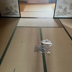 畳無料！