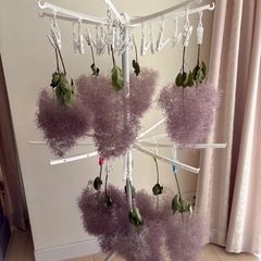 スモークツリードライフラワー
