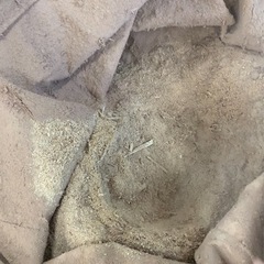 木くず おがくず 1kg (相談可)の画像