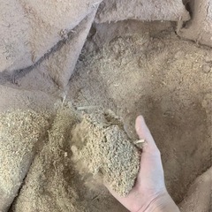 木くず おがくず 1kg (相談可)