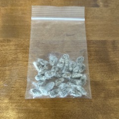 綿花の種　白色
の画像