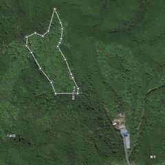 個人向け売買　新城市作手の山林　約4.4ha
