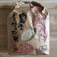 お米 精米済み 3kg