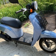 ホンダトゥデイ原付スクーター