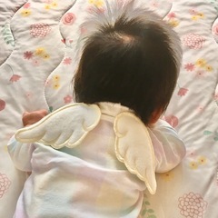 ベビー　汗とりパッドの画像