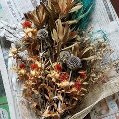 総額1万3千円ほどのドライフラワーです💐の画像