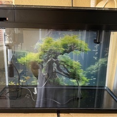 ジェックス GEX AQUARIUM ガラス マリーナ600BKS 