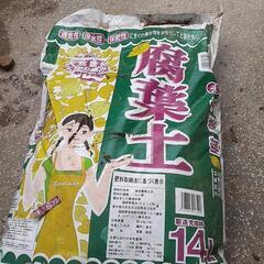 腐葉土
