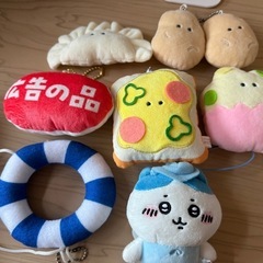つぶらな瞳 ハチワレ
