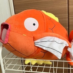 コイキング　ひげなし