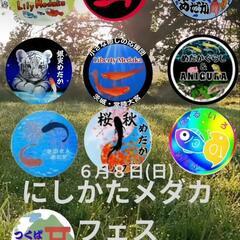 🌸はるいろめだか🌸極上メダカ🌸展示販売会🎪道の駅にしかた🌸