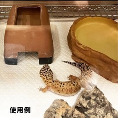 ビゴア 爬虫類使い捨てペットシーツの画像