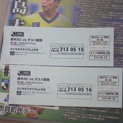 サッカー観戦者募集!!　栃木SCホームゲーム　2025年6月7日(土)