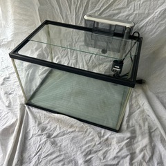 プラスチック水槽L450