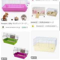 モルモット飼育の為、うさぎ用ゲージお譲り頂きたいです><