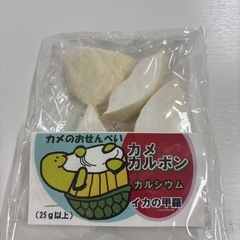 カメ飼育セットの画像
