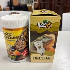 カメ飼育セットの画像
