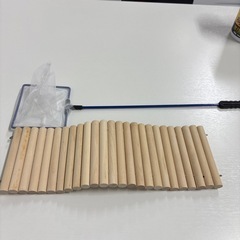 カメ飼育セットの画像