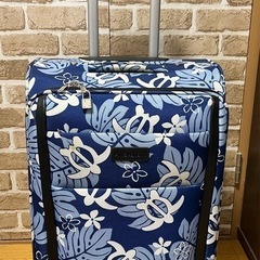 Hula Hawaiiのキャリーケースの画像