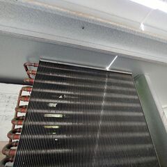 値下げ 個人宅配送可 AGR-1300N 3度から15度 低温貯蔵庫 保冷庫 菜庫の画像