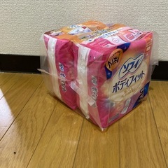 受付終了■ソフィ ボディフィット 羽根なし 21cm レギュラー...