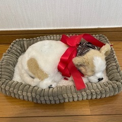 ニニアンドキノ　パーフェクトペット